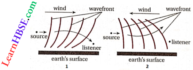 Class 11 Physics Oscillation And Waves Wave Motion Effect Of Wind