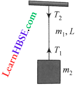 Class 11 Physics Oscillation And Waves Wave Motion Rope Of Wavelength