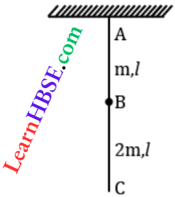Class 11 Physics Oscillation And Waves Wave Motion String Of Wavelength