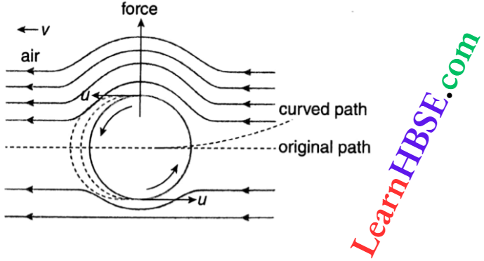 Class 11 Physics Properties Of Matter Viscosity And Surface Tension Magnus Effect