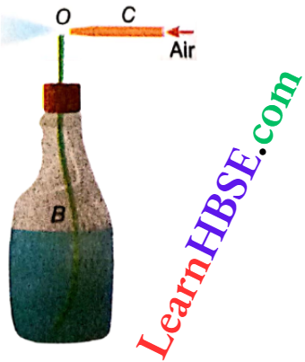 Class 11 Physics Properties Of Matter Viscosity And Surface Tension Sprayer Or Atomizer