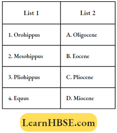 Evidences Of Evolution Relationship Among Organisms Match The Column Question 135