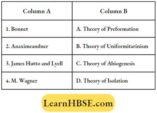 Evidences Of Evolution Relationship Among Organisms Match The Column Question 136
