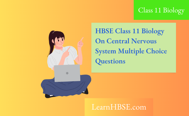 HBSE Class 11 Biology On Central Nervous System Multiple Choice Questions