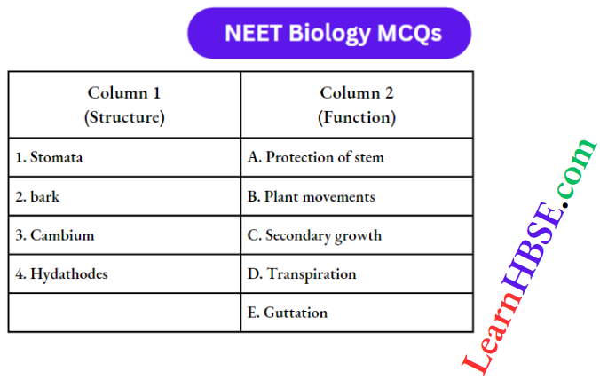 Plant Anatomy Match The Column Question 14