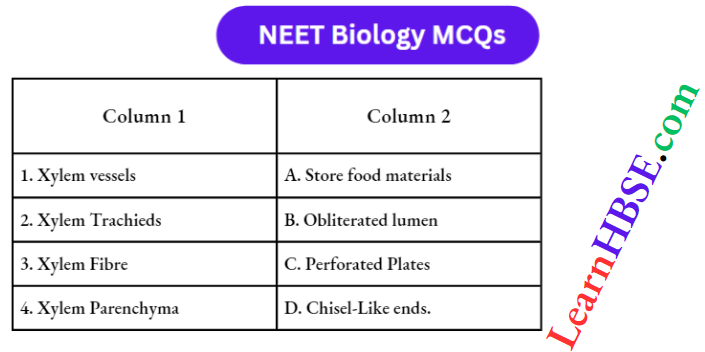 Plant Anatomy Match The Column Question 38