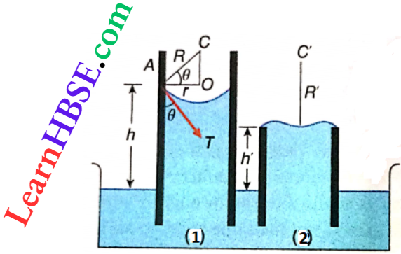 Viscosity And Surface Tension Jurins Law