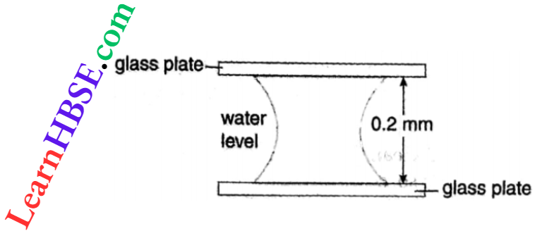 Viscosity And Surface Tension Two Parallel Glass Tube