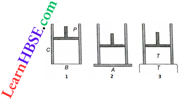 Class 11 Physics Thermodynamics First And Second Law Of Thermodynamics Standard Cylinder Piston Arrangement