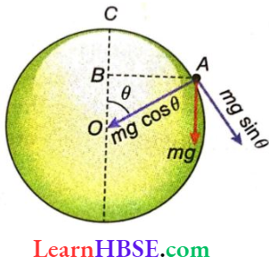Work And Energy A Body Starts Falling From the Top Of Smooth Sphere Of Radius