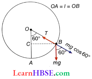 Work And Energy Body Is Roated In Vertical Plane