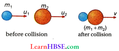 Work And Energy Perfectly Inelastic Collision (2)