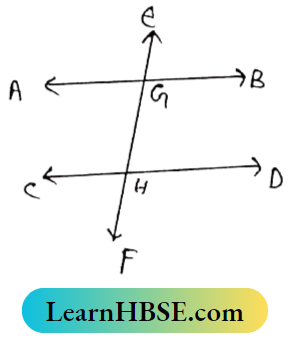Class 8 Maths Chapter 4 Properties Of Parallel Lines And Their Transversal The value of angle AGE