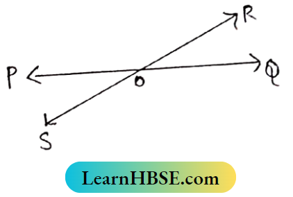 Class 8 Maths Geometry Chapter 3 Concept of Vertically Opposite Angles OR stands on PQ