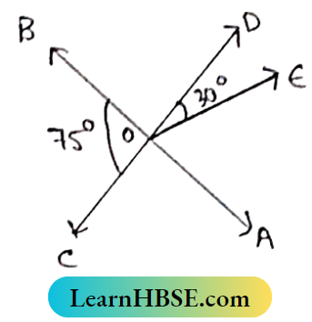 Class 8 Maths Geometry Chapter 3 Concept of Vertically Opposite Angles The Measurement of vertical angles