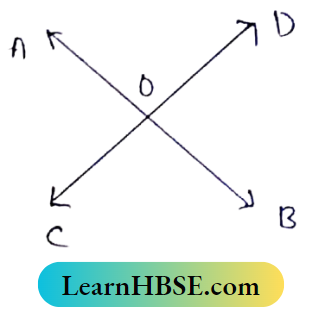 Class 8 Maths Geometry Chapter 3 Concept of Vertically Opposite Angles The Value of BOC