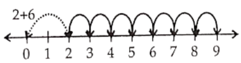 Class 6 Maths Chapter 2 Whole Numbers 2 + 6