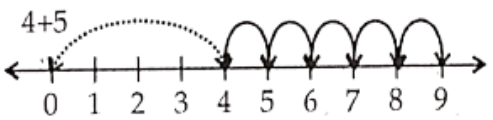 Class 6 Maths Chapter 2 Whole Numbers 4 + 5