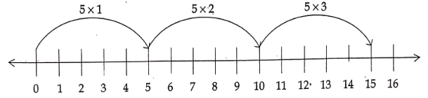 Class 6 Maths Chapter 2 Whole Numbers Long Answer Question 13.3