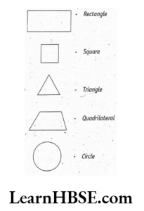 2 dimentional figure