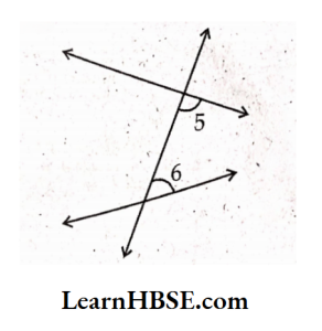 5,6 pair of inferior angles