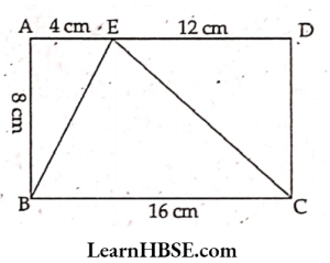 Arectangle ABCD with AB = 8 cm, BC = 16 cm and AE = 4 cm