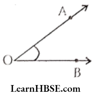 Class 6 Maths Chapter 4 Basic Geometrical Ideas Angle