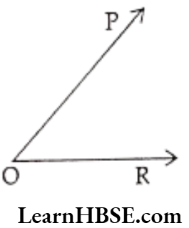 Class 6 Maths Chapter 4 Basic Geometrical Ideas Choose the correct answer 10