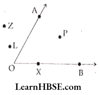 Class 6 Maths Chapter 4 Basic Geometrical Ideas Choose the correct answer 11