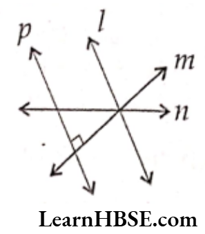 Class 6 Maths Chapter 4 Basic Geometrical Ideas Choose the correct answer 40