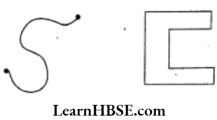 Class 6 Maths Chapter 4 Basic Geometrical Ideas Curve
