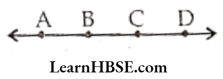 Class 6 Maths Chapter 4 Basic Geometrical Ideas Exercise 4.1 Question 2