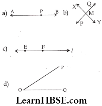 Class 6 Maths Chapter 4 Basic Geometrical Ideas Exercise 4.1 Question 5