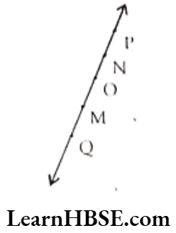 Class 6 Maths Chapter 4 Basic Geometrical Ideas Exercise 4.1 Question 6