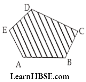 Class 6 Maths Chapter 4 Basic Geometrical Ideas Exercise 4.2 Question 3