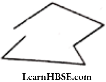 Class 6 Maths Chapter 4 Basic Geometrical Ideas Exercise 4.2 Question 5.2