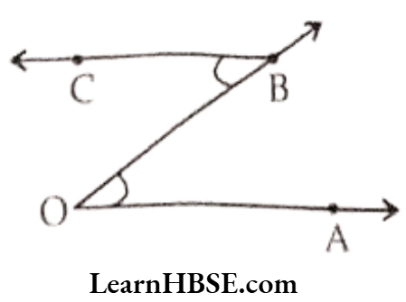 Class 6 Maths Chapter 4 Basic Geometrical Ideas Exercise 4.3 Question 3.1