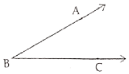 Class 6 Maths Chapter 4 Basic Geometrical Ideas Fill in the blanks Question 67