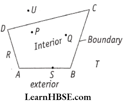 Class 6 Maths Chapter 4 Basic Geometrical Ideas Interior