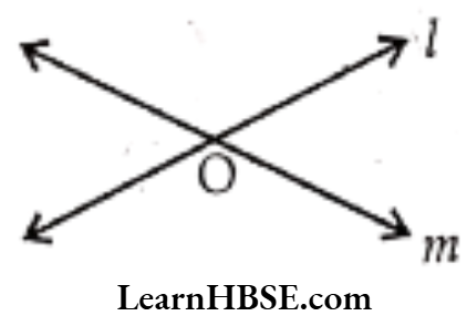 Class 6 Maths Chapter 4 Basic Geometrical Ideas Intersecting Lines