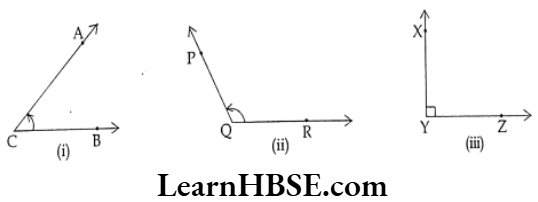 Class 6 Maths Chapter 4 Basic Geometrical Ideas Long Answer Question 1.1