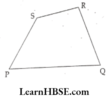 Class 6 Maths Chapter 4 Basic Geometrical Ideas Long Answer Question 10
