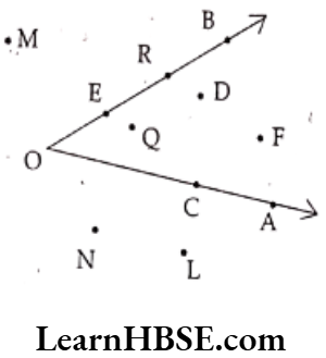 Class 6 Maths Chapter 4 Basic Geometrical Ideas Long Answer Question 2