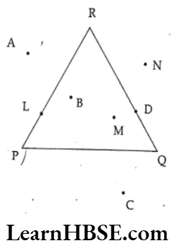 Class 6 Maths Chapter 4 Basic Geometrical Ideas Long Answer Question 3