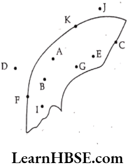 Class 6 Maths Chapter 4 Basic Geometrical Ideas Long Answer Question 6