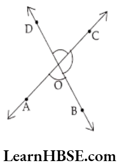 Class 6 Maths Chapter 4 Basic Geometrical Ideas Long Answer Question 8