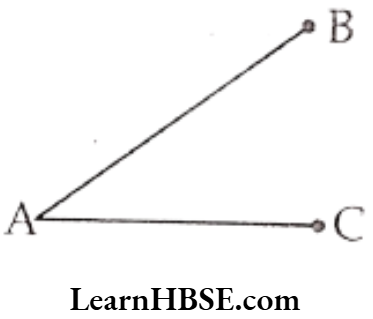 Class 6 Maths Chapter 4 Basic Geometrical Ideas Question 1