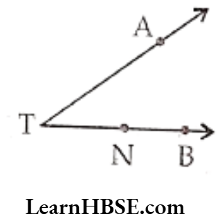 Class 6 Maths Chapter 4 Basic Geometrical Ideas Question 2