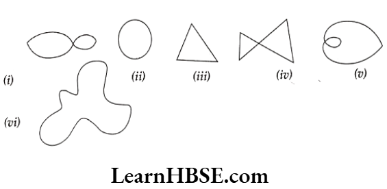 Class 6 Maths Chapter 4 Basic Geometrical Ideas Short Answer Question 10