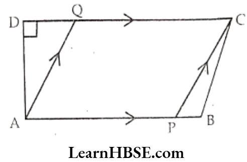 Class 6 Maths Chapter 4 Basic Geometrical Ideas Short Answer Question 2